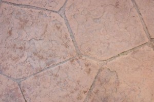 Stamped Concrete Patio