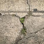 Repair or Replace Concrete