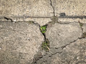 Repair or Replace Concrete