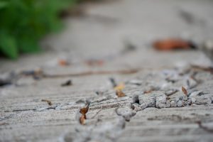 Cracked Concrete Driveway in MN