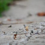 Cracked Concrete Driveway in MN