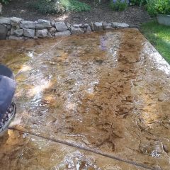 Wet stamped concrete patio surface with scattered leaves, surrounded by garden plants and a low stone border.